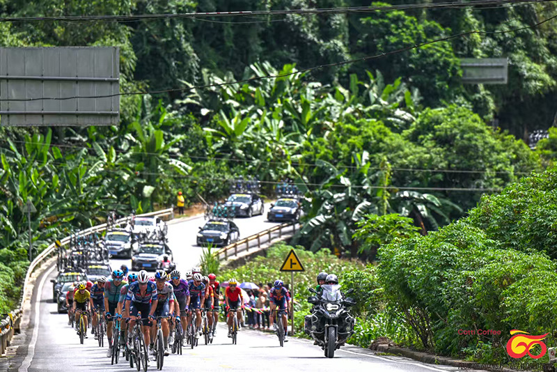 xBlMz, 发展中心供