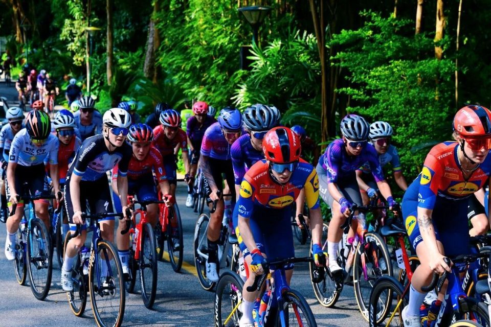 子赛总成绩, xTIyN, jnjAE